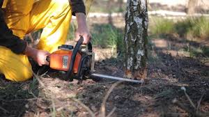 Best Lawn Maintenance Plans  in Hudson, CO
